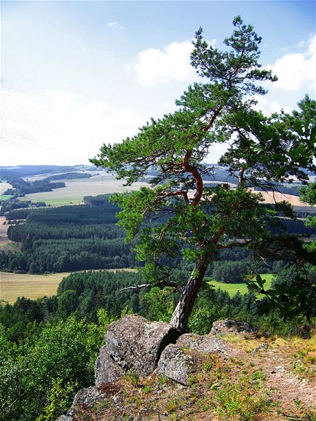 Výhled z okraje vrcholové plošiny na stolové hoře Kozelka