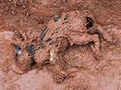 Následky protrené hráze s jedovatým kalem z odkalovací laguny obí hliníkárny v Maarsku. (5. íjna 2010)