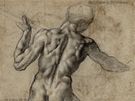Michelangelo Buonarroti: Muský akt