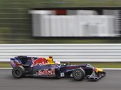 Vettel s vozem Red Bull na drze v Suzuce