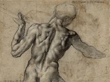 Michelangelo Buonarroti: Mu�ský akt