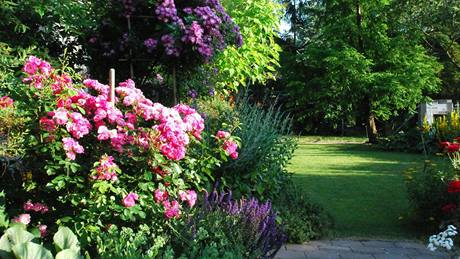 Růže by podle majitele této půvabné zahrádky neměly chybět v žádné zahradě u rodinného domu