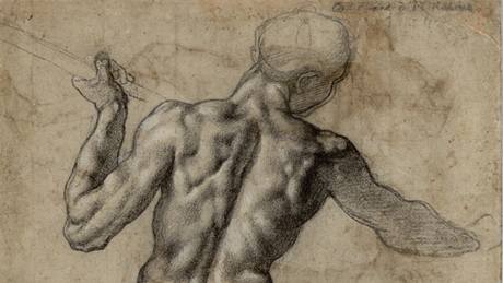 Michelangelo Buonarroti: Muský akt