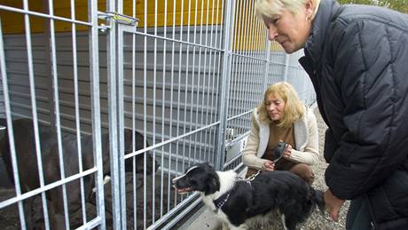 Nov otevený útulek v Nmovicích na Rokycansku. 