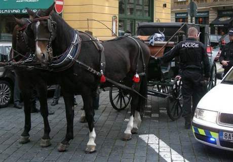 Opilý koí naboural dopravní znaku. Nadýchal 3,4 promile.