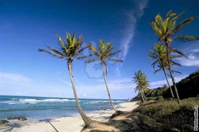 Brazílie, Natal