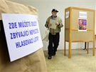 Volby do obecních zastupitelstev v Liberci. (15. íjna 2010)