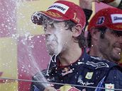 Sebastian Vettel se raduje z vtzstv ve Velk cen Japonska.