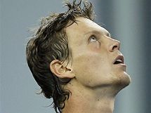 Tom Berdych