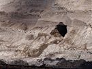 Snímek z projektu Hory Doly, v nm mostecký fotograf Jan Hoda zaznamenává promny podkrunohorské krajiny tbou uhlí.