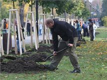 Necel stovka dobrovolnk, pedevm partnerskch dvojic a rodi s dtmi, zasadila v olomouckch Smetanovch sadech dal st obnovovan Rudolfovy aleje.