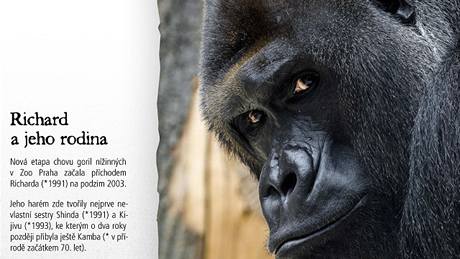 Ve Vzdlávacím centru Zoo Praha probíhá od 25. íjna 2010 výstava Gorily v ohroení