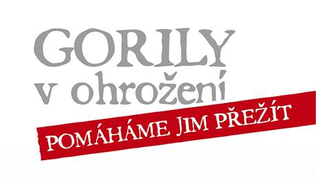 Ve Vzdlávacím centru Zoo Praha probíhá od 25. íjna 2010 výstava Gorily v ohroení   