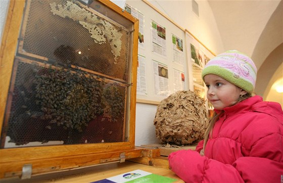 Výstava Vn medu v Novém Mst na Morav.