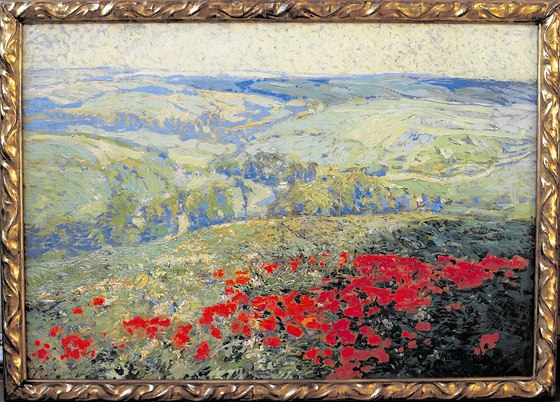 Makové pole malíře Aloise Kalvody