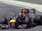 Sebastian Vettel pi 1. tréninku na Velkou cenu Brazílie
