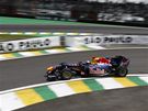 Sebastian Vettel s vozem Red Bull pi tréninku Velké ceny Brazílie.