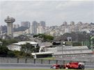 Fernando Alonso v tréninku Velké ceny Brazílie na okruhu poblí Sao Paula.