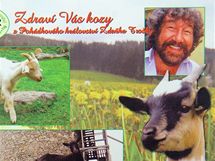 Na tetm mst se v souti Jihoesk pohlednice roku umstila pohlednice z Kozch slavnost na Helfenburku