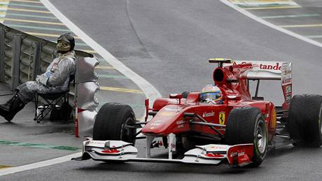 Hasi sleduje Fernanda Alonsa s ferrari pi tréninku na Velkou cenu Brazílie.