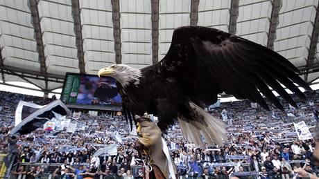 MASKOT. Orel by m�l p�inést �t�stí fotbalist�m Lazia v �ímském derby.