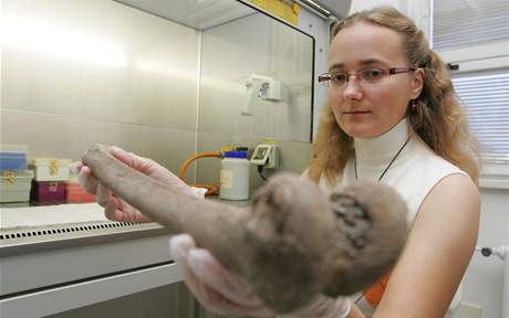 Ve firm Generi Biotech zkoumají archeologické nálezy z Velkého námstí.