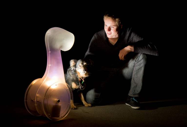 Jindich Vodika, Interaktivní svítidlo Tvor, Národní cena za studentský design 2010