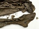 Mezinárodní tým vdc zveejnil fotografie ostatk Tycha Braha. Na snímku kus roucha, které ml Tycho na sob