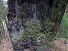 Kamenné varhany v pískovci  Dutý kámen u Cvikova