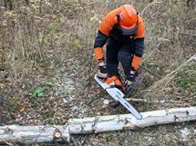 Dlku odezvanch palk si mete nahrubo odmovat dlkou motorov pily