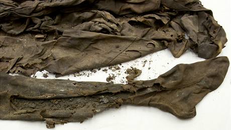 Mezinárodní tým vědců zveřejnil fotografie ostatků Tycha Braha. Na snímku kus roucha, které měl Tycho na sobě