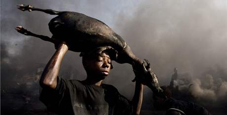 Mladík nese zvíe bhem jatek v Port Harcourt. Kou kolem je zpsobem pálením zvíecí ke na starých pneumatikách. Lidé se v oblasti ivili rybolovem, kvli ropným únikm do vody ale zaali jíst ervené maso