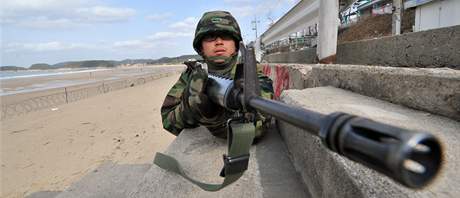 Jihokorejský voják se úastní manévr (Ilustraní foto)