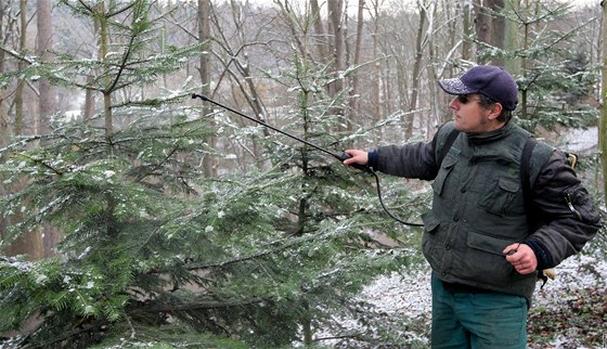 Martin Kolář ze Správy městských lesů při postřiku stromků proti zlodějům