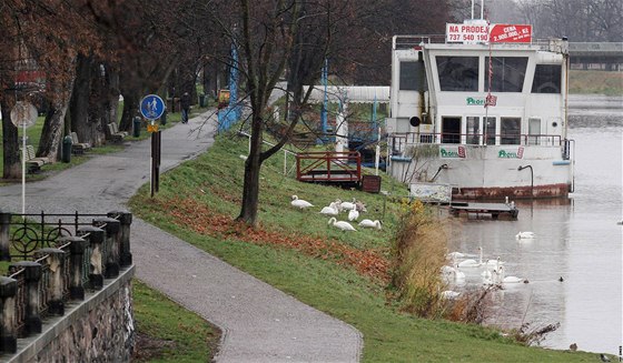 Chátrající lo echie na Labi v Hradci Králové