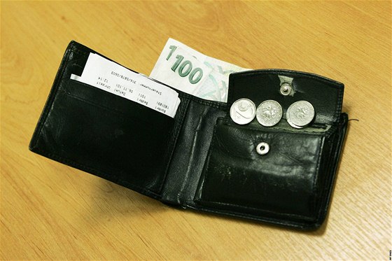 Peněženka, peníze - ilustrační foto