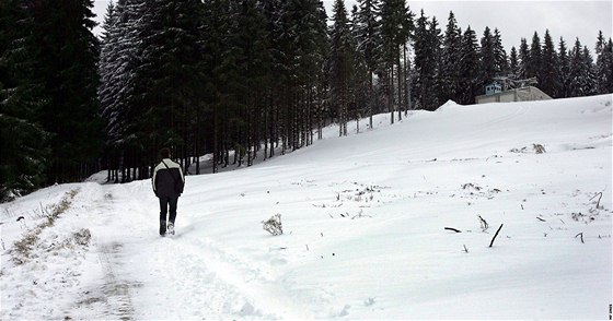 Cesta na vrch Bleiberg ke stejnojmenné restauraci slouící k jejímu zásobování kíí nov vznikající sjezdovku. 