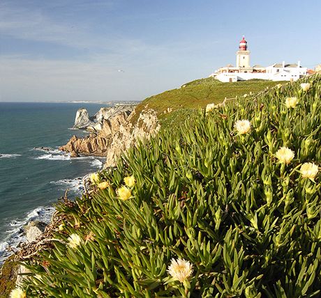 Majk a tesy na Cabo de Roca