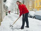 Ilona Bukovská odklízí sníh na chodníku ped svým domem v Plzni. (29. listopadu 2010)