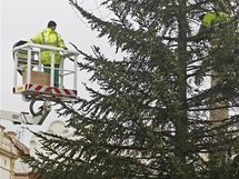 Zdobení vánočního stromu na Pernštýnském náměstí v Pardubicích