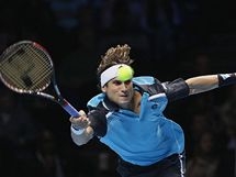  David Ferrer