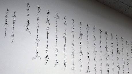 Cui Fei: Manuscript of Nature V