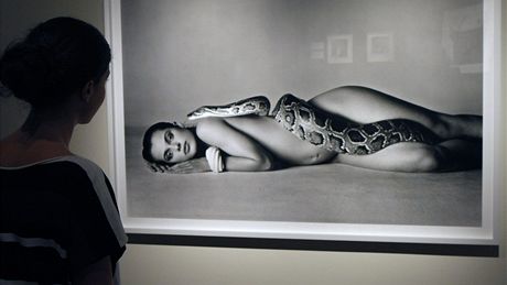 Avedon v roce 1981 fotografoval here�ku Nastassju Kinski