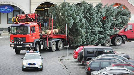 Nákladní auto piváí za doprovodu policie vánoní strom na námstí Pemysla Otakara II. 