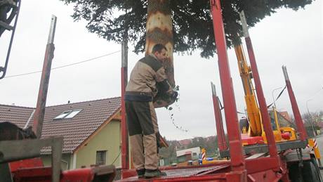 Strom naloil na nákladní auto jeáb. 