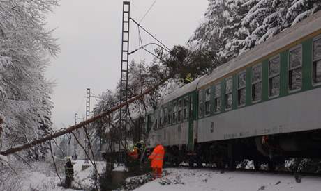 U Chodové Plané ráno jeden ze spadlých strom zastavil rychlík a petrhal troleje, tra byla zablokovaná celé dopoledne