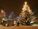 Vánoní strom, Karlovy Vary