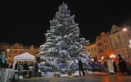 Vánoní strom, který zdobil ped dvma lety ostravské Masarykovo námstí.