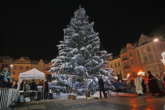 Vánoní strom, který zdobil ped dvma lety ostravské Masarykovo námstí.
