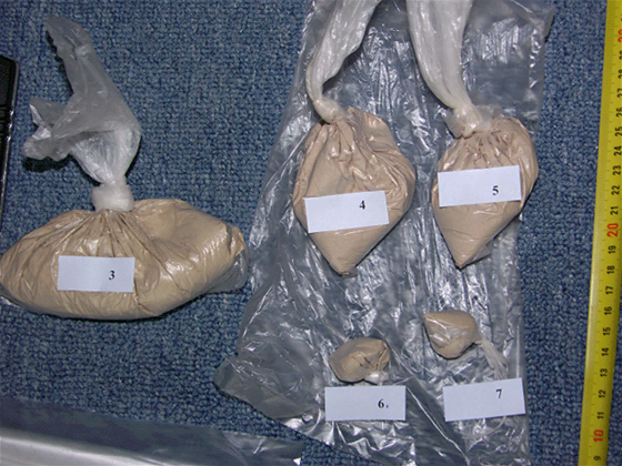 Brnntí policisté nali dva tisíce dávek heroinu
